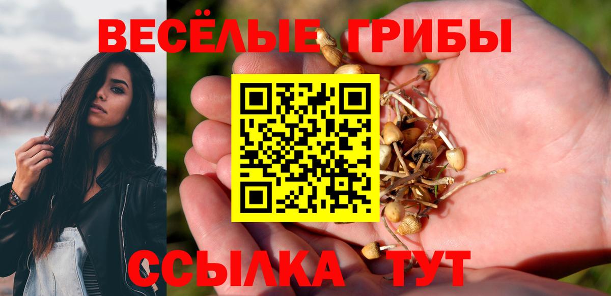 Галлюциногенные грибы Psilocybine cubensis Кропоткин
