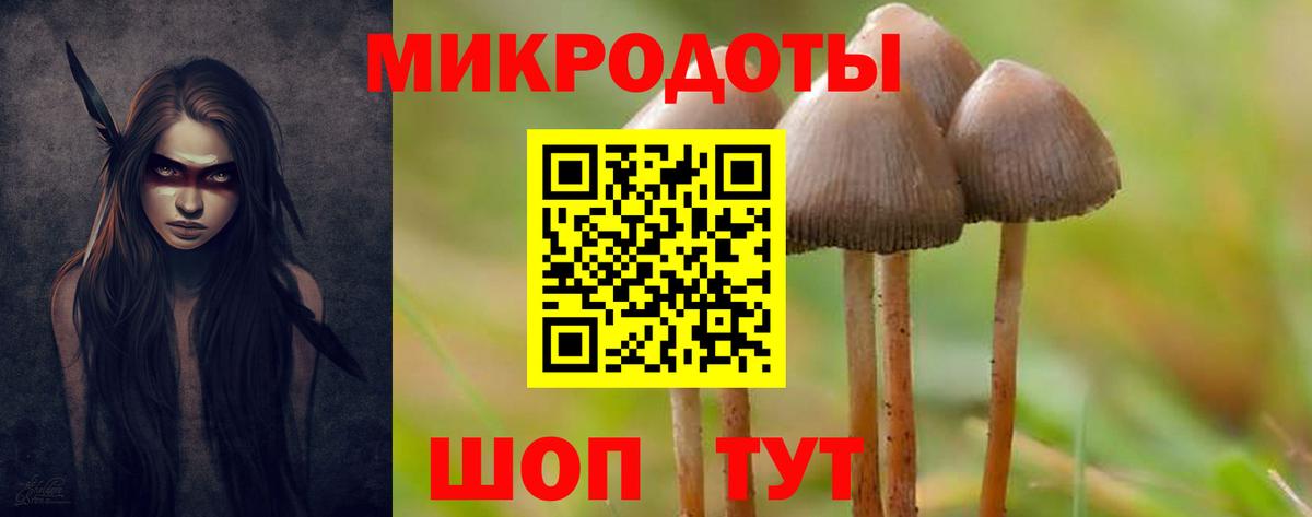 Кропоткин  Псилоцибиновые грибы мухоморы  Вход с VPN 